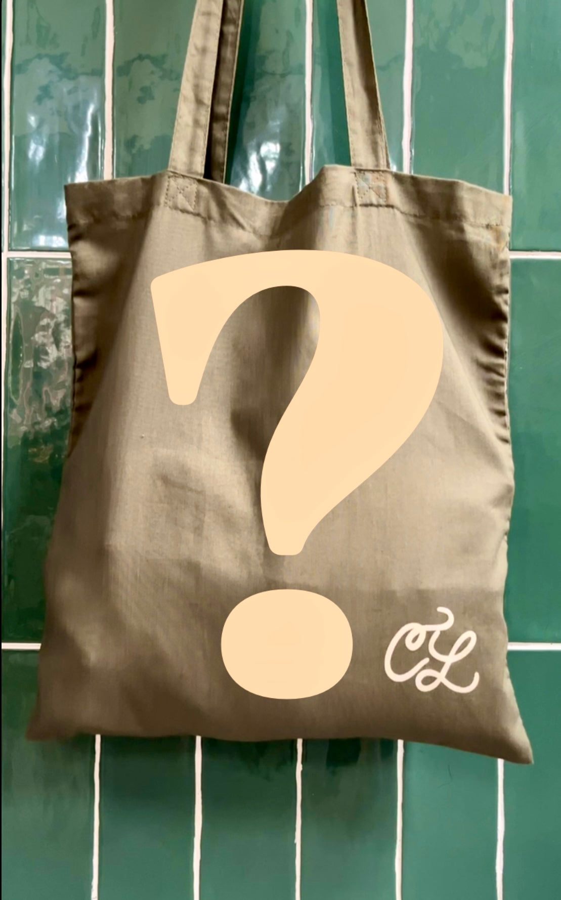 The Concrete Links Co Black Friday Mystery Tote